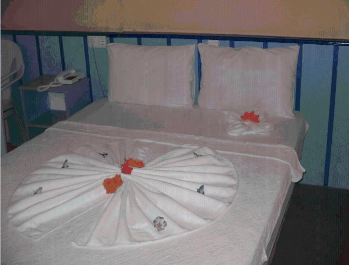 Pamukkale Hotel Дідім Номер фото